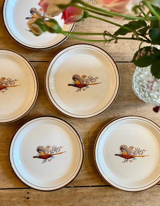 Vintage Bird Design Ceramic Plates